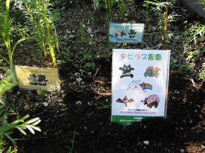 DSCN2060.JPG